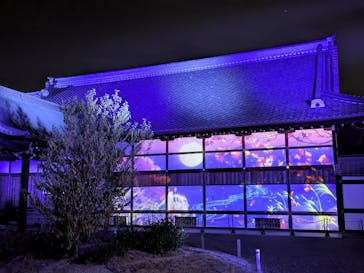 NAKED meets 二条城 2025 観月に投稿された画像（2025/12/7）