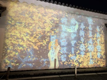 NAKED meets 二条城 2025 観月に投稿された画像（2025/12/7）