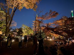 ASAKUSA CULTURE & LIGHTS 2025に投稿された画像（2025/12/7）