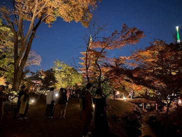 ASAKUSA CULTURE & LIGHTS 2025に投稿された画像（2025/12/7）