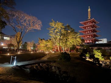 ASAKUSA CULTURE & LIGHTS 2025に投稿された画像（2025/12/7）