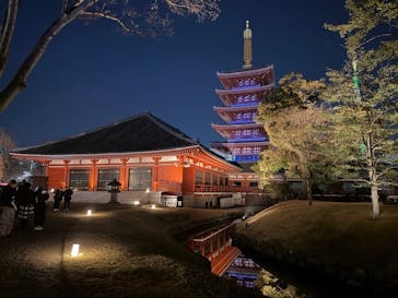 ASAKUSA CULTURE & LIGHTS 2025に投稿された画像（2025/12/7）