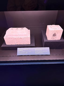 ACN ラムセス大王展 ファラオたちの黄金に投稿された画像（2025/12/7）