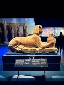 ACN ラムセス大王展 ファラオたちの黄金に投稿された画像（2025/12/7）