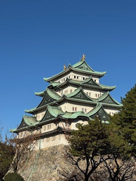 名古屋城に投稿された画像（2025/12/7）