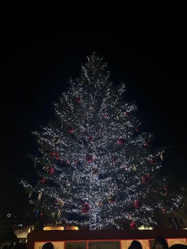 Christmas Market in 横浜赤レンガ倉庫 2025に投稿された画像（2025/12/7）