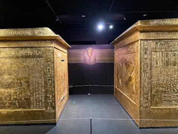 MYSTERY OF TUTANKHAMEN 体感型古代エジプト展に投稿された画像（2025/12/7）