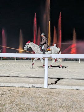 東京メガイルミに投稿された画像（2025/12/7）