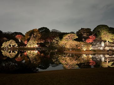 六義園に投稿された画像（2025/12/7）