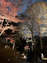 六義園に投稿された画像（2025/12/7）