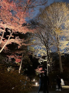 六義園に投稿された画像（2025/12/7）