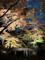 六義園に投稿された画像（2025/12/7）