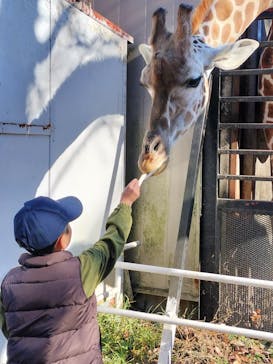 宇都宮動物園に投稿された画像（2025/12/7）