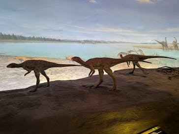 福井県立恐竜博物館に投稿された画像（2025/12/7）