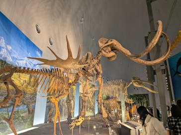 福井県立恐竜博物館に投稿された画像（2025/12/7）