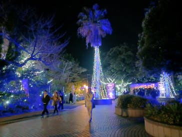 江の島シーキャンドルに投稿された画像（2025/12/7）