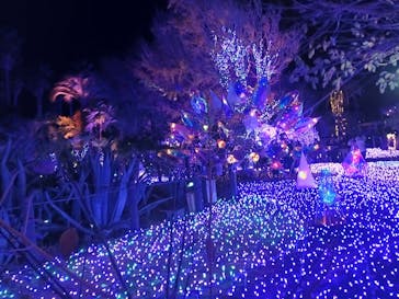 江の島シーキャンドルに投稿された画像（2025/12/7）