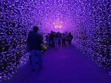 江の島シーキャンドルに投稿された画像（2025/12/7）