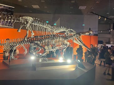 特別展「大絶滅展―生命史のビッグファイブ」に投稿された画像（2025/12/7）