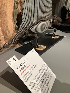 特別展「大絶滅展―生命史のビッグファイブ」に投稿された画像（2025/12/7）