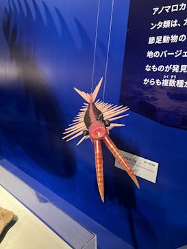 特別展「大絶滅展―生命史のビッグファイブ」に投稿された画像（2025/12/7）