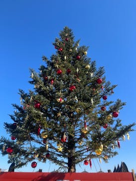 Christmas Market in 横浜赤レンガ倉庫 2025に投稿された画像（2025/12/7）