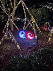 修善寺虹の郷に投稿された画像（2025/12/7）