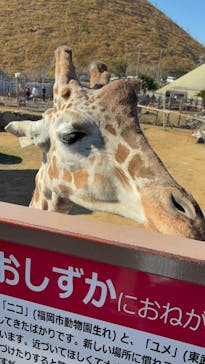 伊豆シャボテン動物公園に投稿された画像（2025/12/7）
