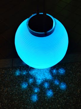 Himeji Castle of Light『DANDELION PROJECT 姫路城×NAKED, INC.』に投稿された画像（2025/12/7）