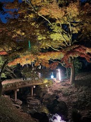 ASAKUSA CULTURE & LIGHTS 2025に投稿された画像（2025/12/8）