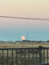 熊谷天然温泉　花湯スパリゾートに投稿された画像（2025/12/8）