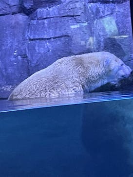 横浜・八景島シーパラダイス　プレジャーランドに投稿された画像（2025/12/8）