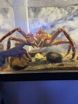 横浜・八景島シーパラダイス　プレジャーランドに投稿された画像（2025/12/8）