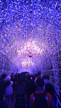 江の島シーキャンドルに投稿された画像（2025/12/8）