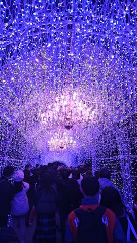 江の島シーキャンドルの口コミ ｜江ノ島と海、それとイルミネーシ