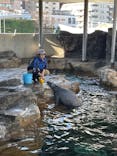 しながわ水族館に投稿された画像（2025/12/8）