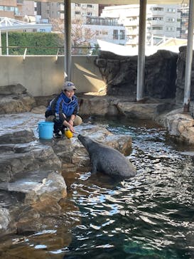 しながわ水族館に投稿された画像（2025/12/8）