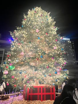 Christmas Market in 横浜赤レンガ倉庫 2025に投稿された画像（2025/12/8）