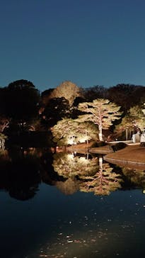 六義園に投稿された画像（2025/12/8）