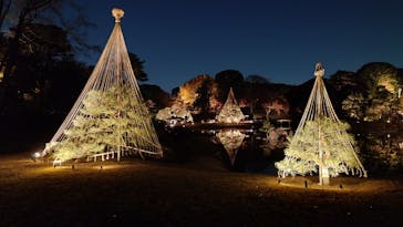 六義園に投稿された画像（2025/12/8）