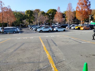 伊豆ぐらんぱる公園に投稿された画像（2025/12/8）