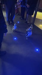 すみだ水族館に投稿された画像（2025/12/8）