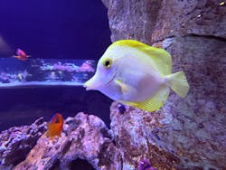 すみだ水族館に投稿された画像（2025/12/8）