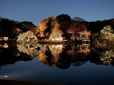 六義園に投稿された画像（2025/12/8）
