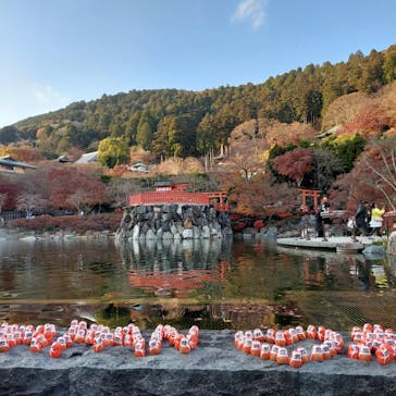 勝尾寺に投稿された画像（2025/12/8）