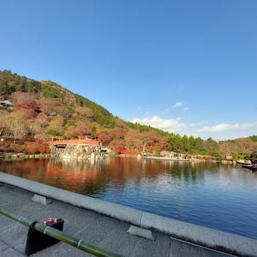 勝尾寺に投稿された画像（2025/12/8）