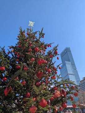天王寺動物園に投稿された画像（2025/12/8）