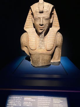 ACN ラムセス大王展 ファラオたちの黄金に投稿された画像（2025/12/8）