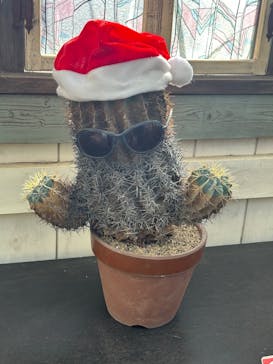 伊豆シャボテン動物公園に投稿された画像（2025/12/8）