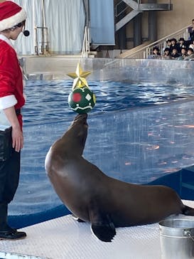 アクアワールド茨城県大洗水族館に投稿された画像（2025/12/8）